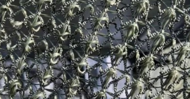 Lưới chống drone Darwin-Z Nga công nghệ ‘tự chữa lành’, thay đổi cuộc chơi phòng thủ