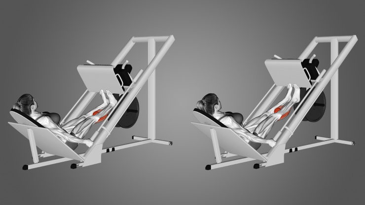 Bài tập nhón gót với máy đạp chân (calf raise on leg press).
