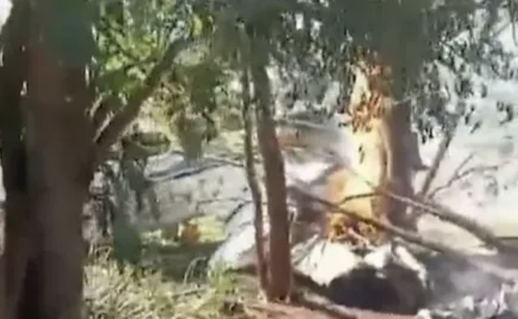 Chiếc máy bay rơi ở Minga Guazu - Paraguay. Ảnh: NEWSX