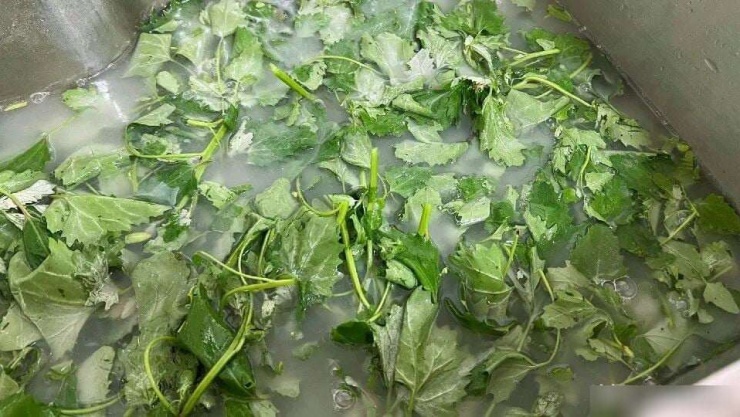 Loại rau dại được ví như "siêu thực phẩm" bị lãng quên, giúp bổ máu, tốt xương, ổn định huyết áp, trộn tỏi ớt cực ngon - 4