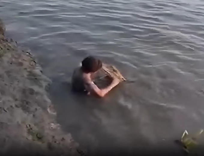 Himer đánh răng cho con cá sấu mà không hề run sợ. Ảnh cắt màn hình