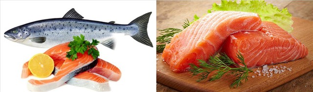 Kỳ lạ loại cá nhiều chất béo nhưng lại giúp giảm mỡ máu hiệu quả - 1