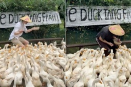 Clip du khách Tây chăn vịt theo nhạc ở Quảng Trị khiến dân mạng cười bò