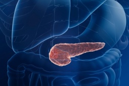 Thử nghiệm lâm sàng thuốc chữa ung thư tụy gây chấn động giới y khoa, giảm nguy cơ tử vong tới 60%