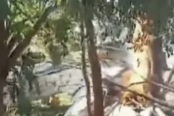 Rơi máy bay chở đầy tiền mặt giữa biên giới 3 nước, nổ ra hàng loạt vụ cướp