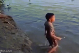 Cậu bé gây sốt sau video gọi cá sấu lên đánh răng