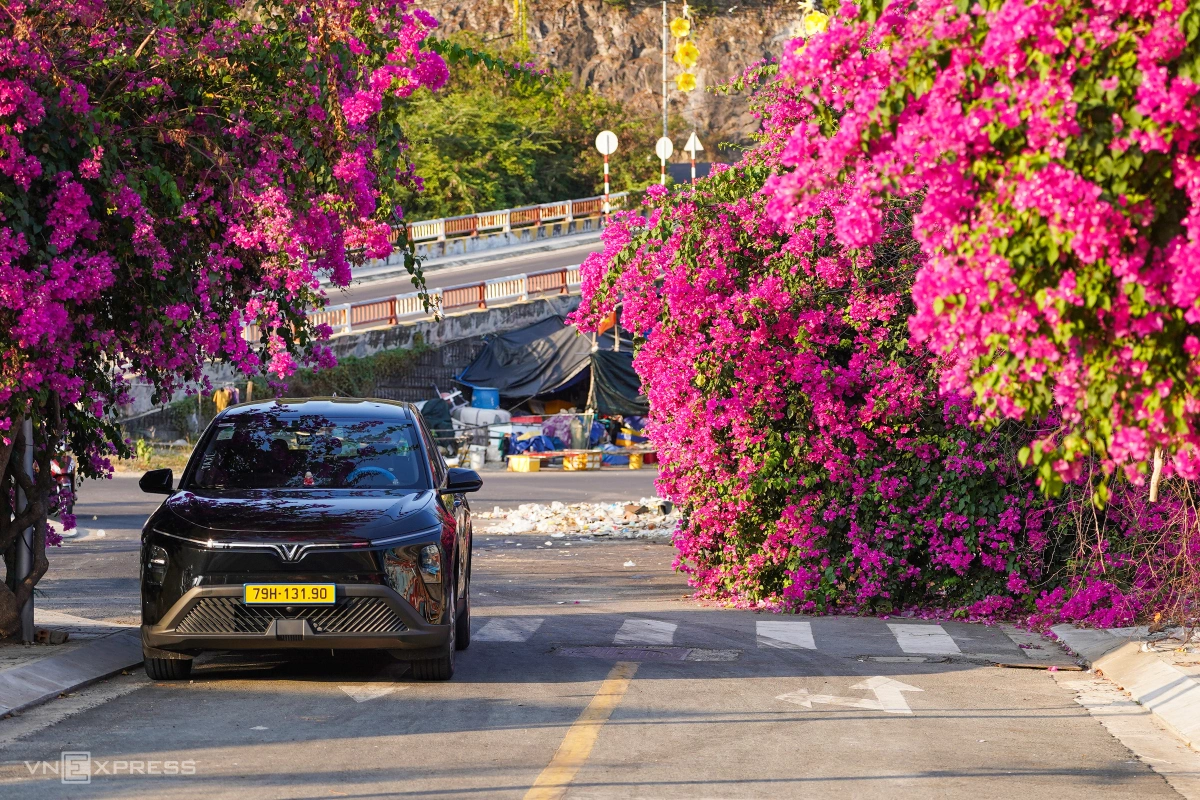 Tuyến đường hoa giấy nở rộ tại làng chài Nha Trang - 7