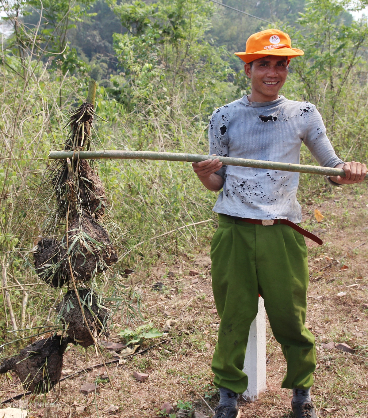 Mùa săn trứng kiến ở miền núi Quảng Trị - 5