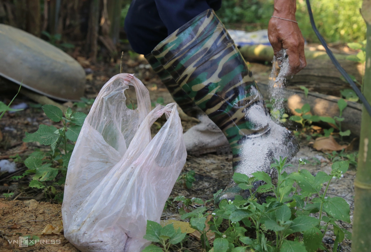 Mùa săn trứng kiến ở miền núi Quảng Trị - 6