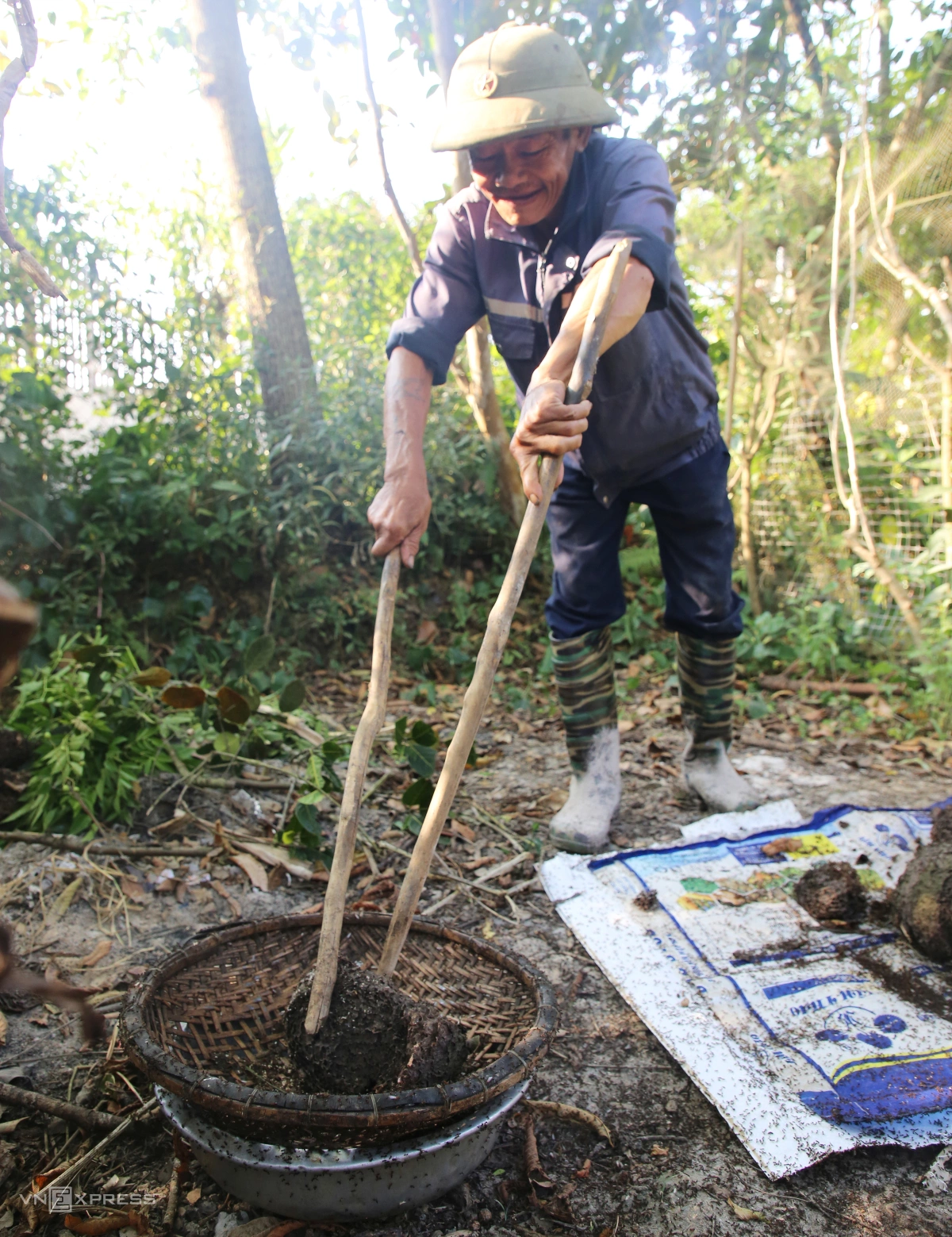 Mùa săn trứng kiến ở miền núi Quảng Trị - 8