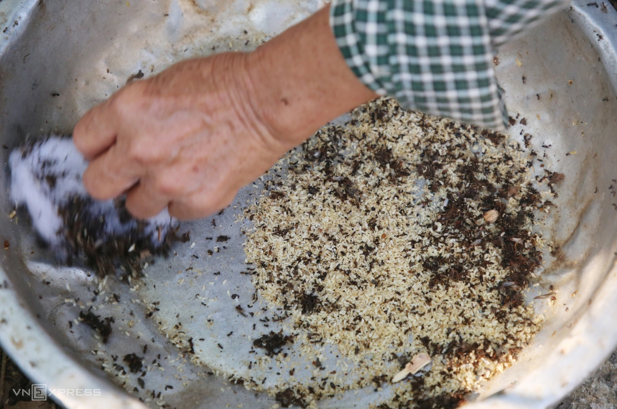 Mùa săn trứng kiến ở miền núi Quảng Trị - 11