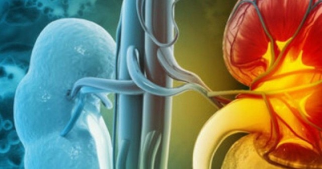 Loại củ quen thuộc đang bán nhiều ở chợ Việt, người bệnh suy thận cần lưu ý khi ăn để ngừa biến chứng