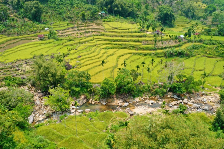 Mê mẩn ruộng bậc thang tuyệt đẹp ở Sơn Tây Thượng - 3