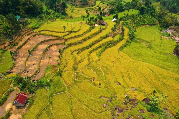 Mê mẩn ruộng bậc thang tuyệt đẹp ở Sơn Tây Thượng - 5
