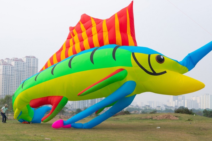 Hàng trăm người thả diều ở vùng ven Hà Nội - 9