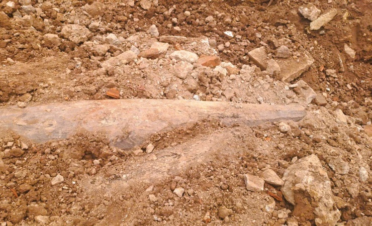 Qua kiểm tra, các cơ quan chuyên môn nhận định các cọc gỗ này có đặc điểm giống với cọc gỗ có từ thời Trần trong cuộc chiến chống quân Nguyên Mông lần thứ 2