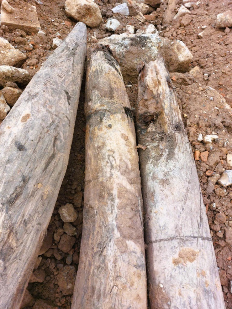 Cận cảnh 3 cọc gỗ cổ phát hiện dưới sông, nghi có từ thời Trần - 5