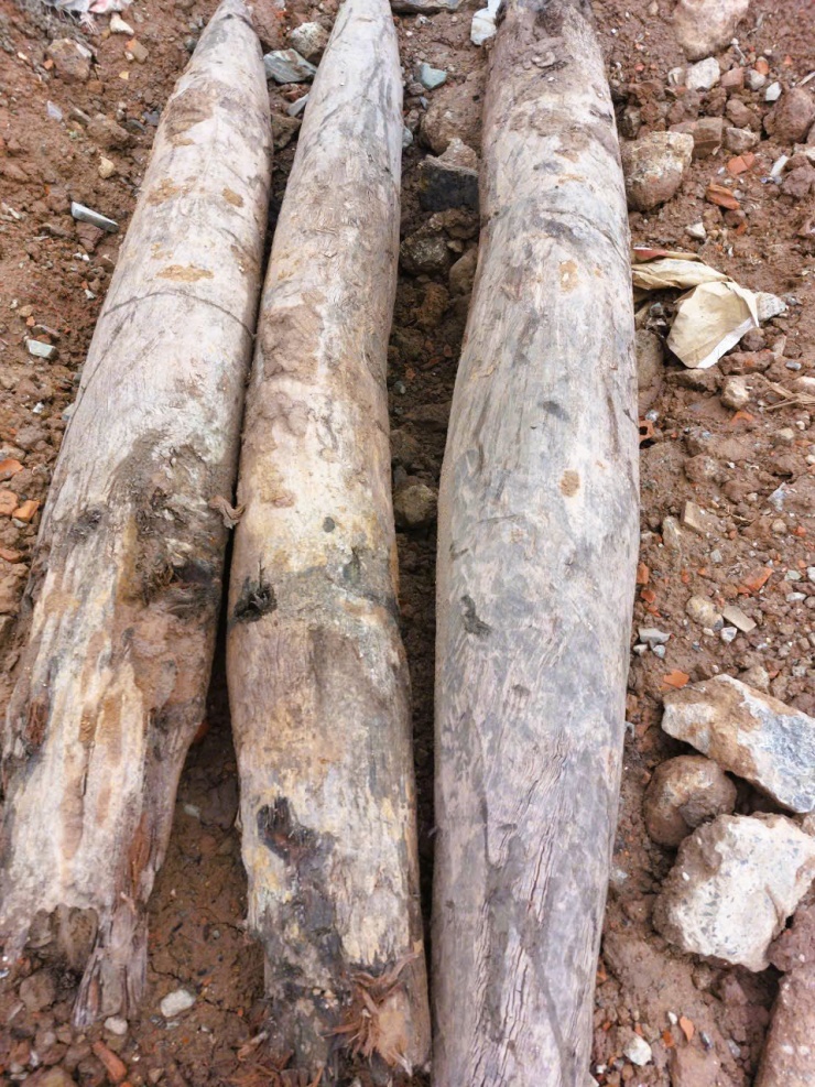 Cận cảnh 3 cọc gỗ được phát hiện dưới sông Vân