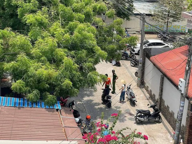 Ngôi trường nơi xảy ra vụ việc