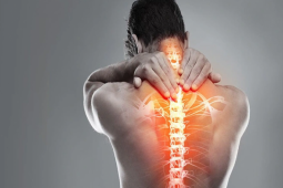 Vương Hoạt – Giải pháp hỗ trợ cho những cơn đau cột sống “đúng hẹn lại lên” khi thời tiết thay đổi