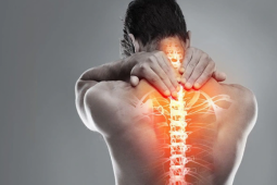 Vương Hoạt – Giải pháp hỗ trợ cho những cơn đau cột sống “đúng hẹn lại lên” khi thời tiết thay đổi