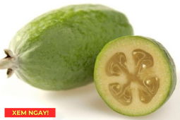 Tin tức sức khỏe - “Siêu trái cây” chứa hàm lượng vitamin C cao vượt trội, rất tốt cho hô hấp: Người Việt ăn nhiều mà ít biết!