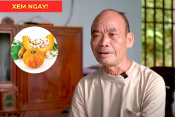 Tin tức sức khỏe - Tiểu đêm 3-4 lần suốt nhiều năm - Người cựu chiến binh có thay đổi bất ngờ nhờ Ích Niệu Khang