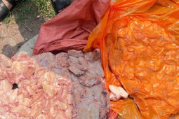 Gần 26 tấn gà, lợn bốc mùi bị phát hiện trong ba kho hàng gần biên giới