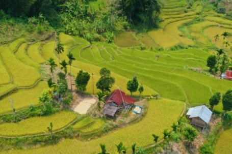 Mê mẩn ruộng bậc thang tuyệt đẹp ở Sơn Tây Thượng