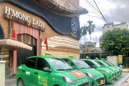 Ngân hàng thu giữ loạt xe ô tô điện của Mai Linh Lào Cai