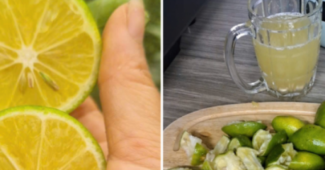 Người đàn ông tử vong ở tuổi 42 sau khi chữa bệnh bằng chanh liều cao