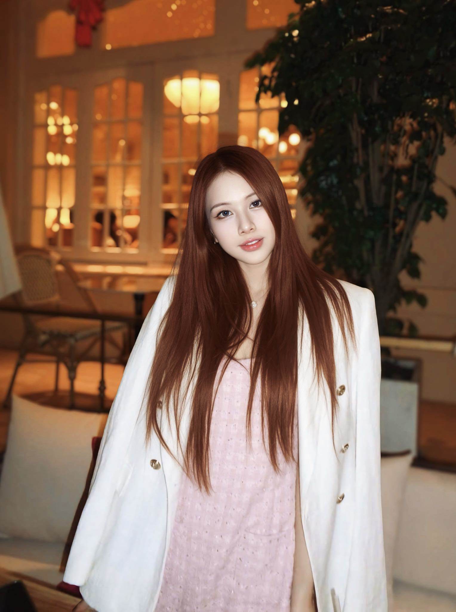 Nhan sắc tình tin đồn kém 24 tuổi của Johnny Trí Nguyễn.