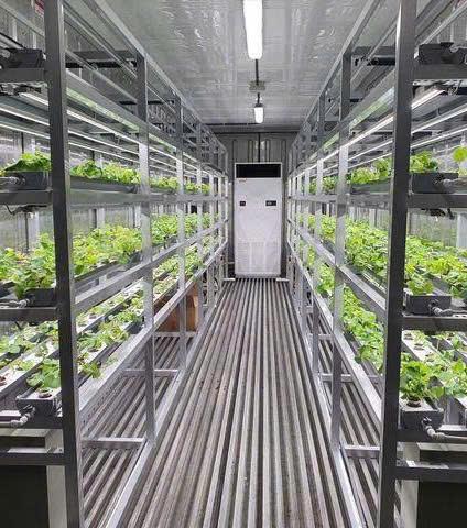 Phòng nuôi cấy sinh học