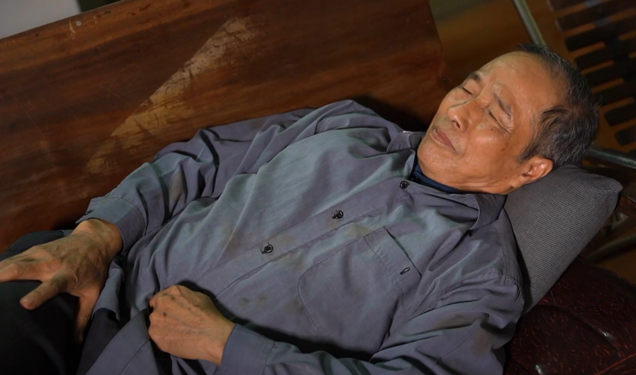 Loại hạt tí hon này là “cứu tinh” cho người tiểu đêm, Việt Nam rẻ bèo nhưng nước ngoài coi như “báu vật”! - 1