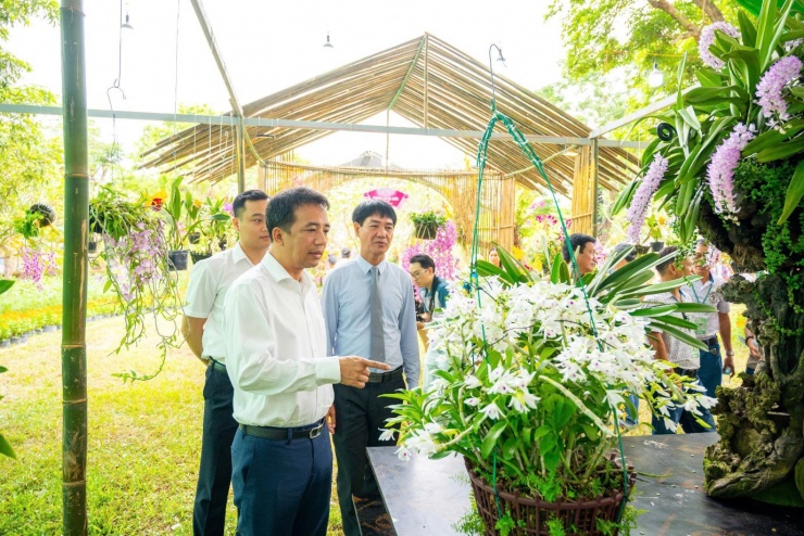 Vào chốn Hoàng cung, ngắm phong lan, cây kiểng, đá cảnh 3 miền - 7