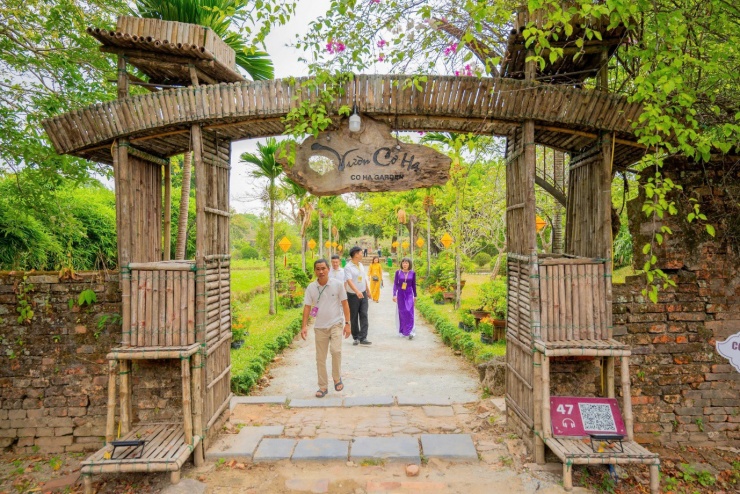 Vào chốn Hoàng cung, ngắm phong lan, cây kiểng, đá cảnh 3 miền - 16