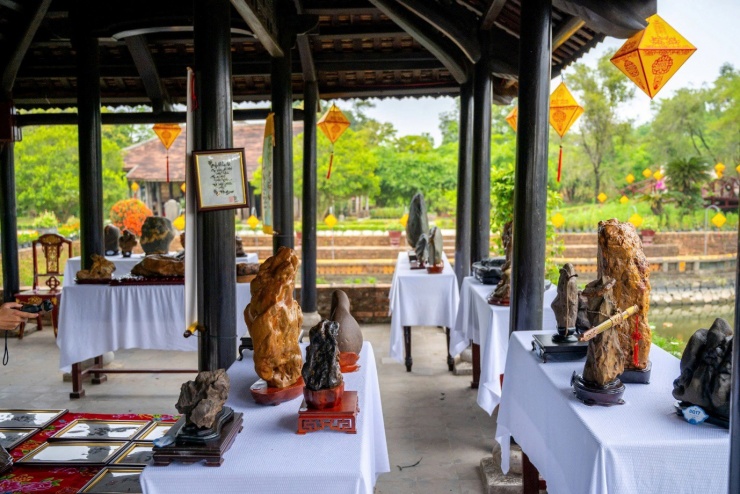 Vào chốn Hoàng cung, ngắm phong lan, cây kiểng, đá cảnh 3 miền - 13