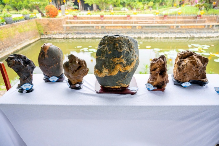 Vào chốn Hoàng cung, ngắm phong lan, cây kiểng, đá cảnh 3 miền - 14