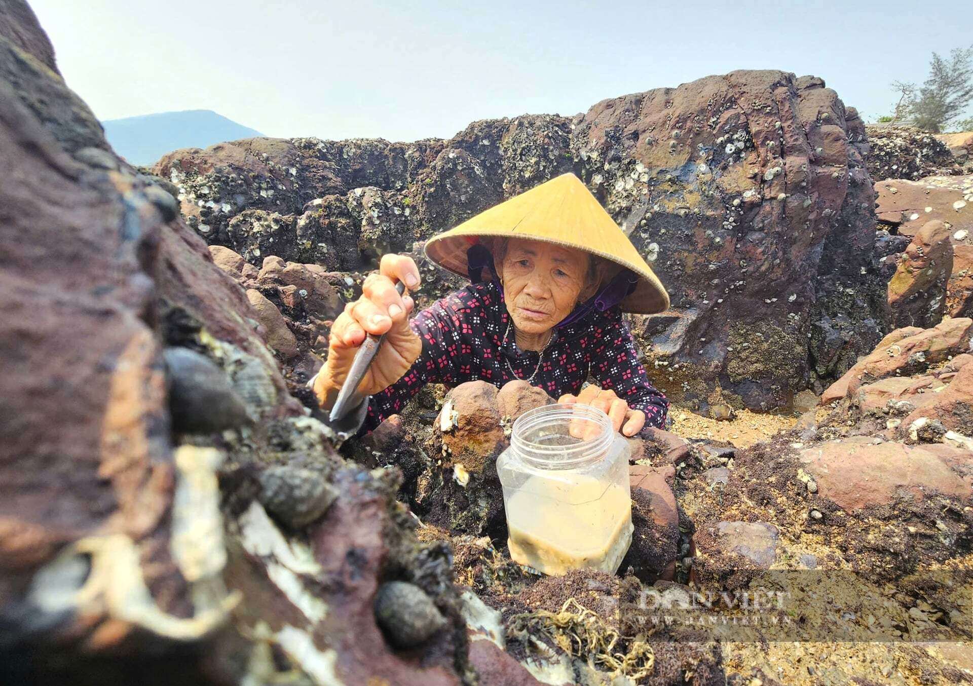 Bãi đá đẹp như phim lộ ra sau khi thủy triều rút đi, đây cũng là nơi mưu sinh của nhiều phụ nữ ở xã Hải Lộc, tỉnh Nghệ An bằng nghề độc lạ. Ảnh: N.T