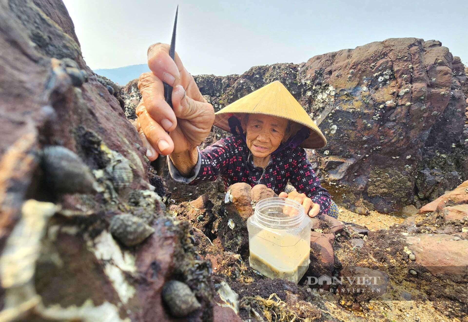 Người dân xã Hải Lộc, tỉnh Nghệ An vẫn bám biển mưu sinh. Cuộc sống của họ gắn liền với từng "nhịp thở" của biển, theo từng con nước lên, xuống. Ảnh: N.T