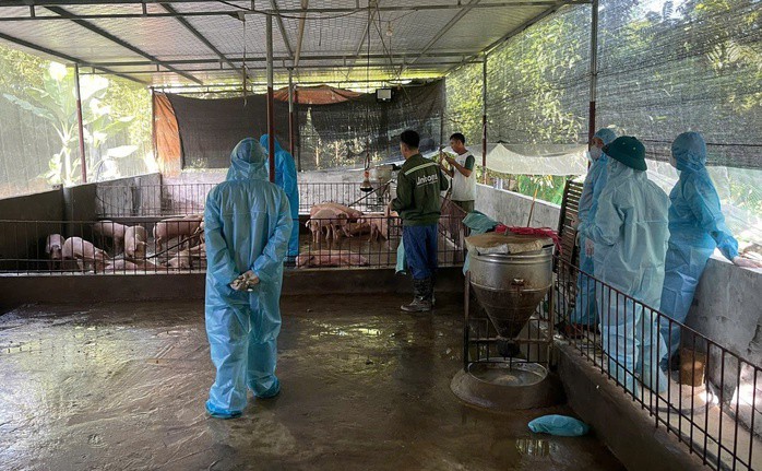 Dùng nguyên liệu không bảo đảm an toàn thực phẩm có thể bị phạt tới 60 triệu