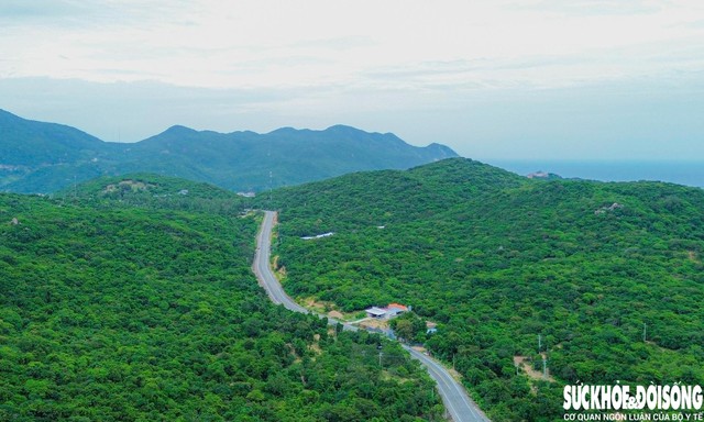 Từ trên cao nhìn xuống, những cung đường uốn lượn như dải lụa mềm xuyên qua các triền núi phủ kín màu xanh. Ảnh: Duy Ngọc.