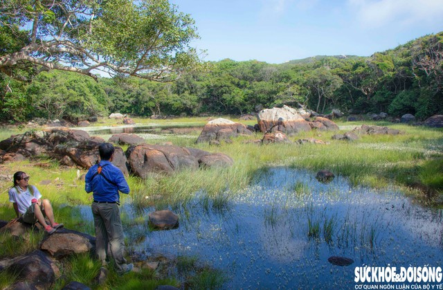 Đi sâu vào Vườn quốc gia Núi Chúa là cảnh quan cuốn hút với những trảng cỏ, hồ nước nhỏ xen lẫn các tảng đá lớn phủ rêu. Ảnh: Duy Ngọc.