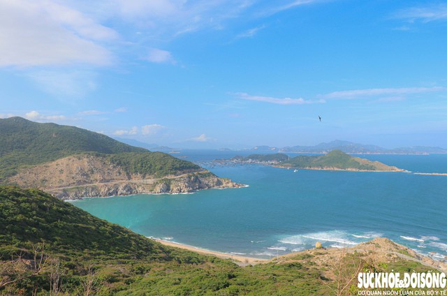 Không chỉ có rừng, Núi Chúa còn sở hữu đường bờ biển dài với làn nước xanh ngắt. Ảnh: Duy Ngọc.