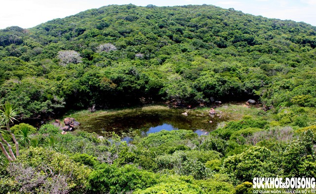 Ánh nắng len qua tán cây, phản chiếu xuống mặt nước, khiến khung cảnh trở nên lung linh. Trong ảnh là một hồ trên núi thuộc Vườn quốc gia Núi Chúa.