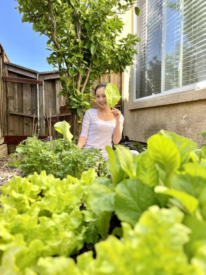 Vườn rau trong biệt thự nhà Diệu Hương ở Mỹ - 2