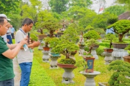 Vào chốn Hoàng cung, ngắm phong lan, cây kiểng, đá cảnh 3 miền