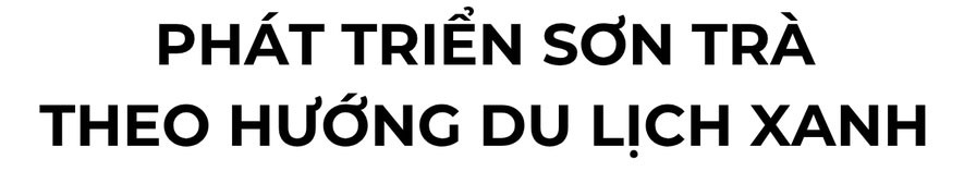 Hoa thàn mát nhuộm tím bán đảo Sơn Trà mùa tháng tư - 14
