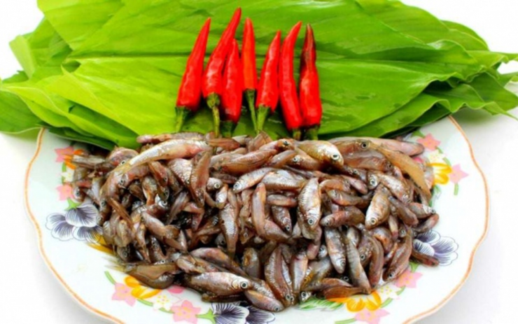 Món 'cứu đói”'mùa lũ trở thành đặc sản đắt đỏ với giá lên tới 300.000–400.000 đồng/kg, nhiều người truy lùng - 1