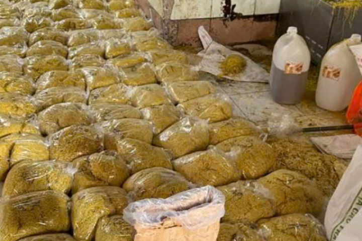 2.800 tấn mì tươi “ngậm” hàn the, thủy tinh lỏng tàn phá cơ thể ra sao?